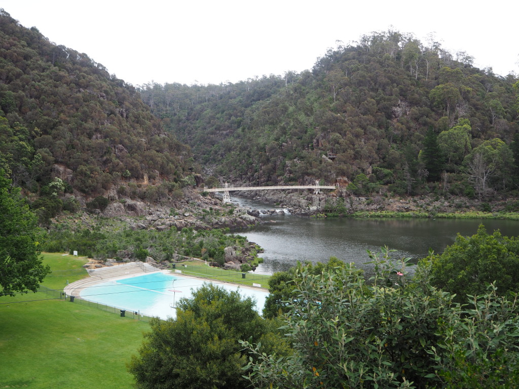 How cool is that! There's even a pool area in the middle of the forest